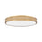 Z-Lite Stari 1 Light 20.75" Flush Mount, Modern Gold/Frosted