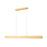 Z-Lite Hudson 1 Light 55" Linear Chandelier, Gold/Frosted