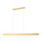 Z-Lite Hudson 1 Light 72" Linear Chandelier, Gold/Frosted