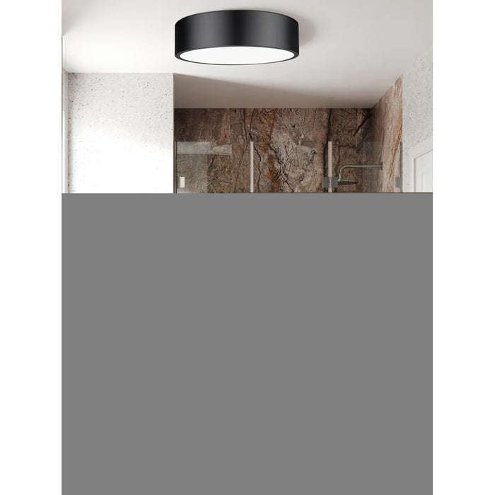 Z-Lite Coronado 1 Light 16" Flush Mount, Matte Black/Frosted