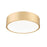 Z-Lite Coronado 1 Light 16" Flush Mount, Modern Gold/Frosted