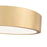 Z-Lite Coronado 1 Light 16" Flush Mount, Modern Gold/Frosted