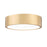 Z-Lite Coronado 1 Light 16" Flush Mount, Modern Gold/Frosted
