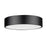 Z-Lite Coronado 1 Light 20" Flush Mount, Matte Black/Frosted