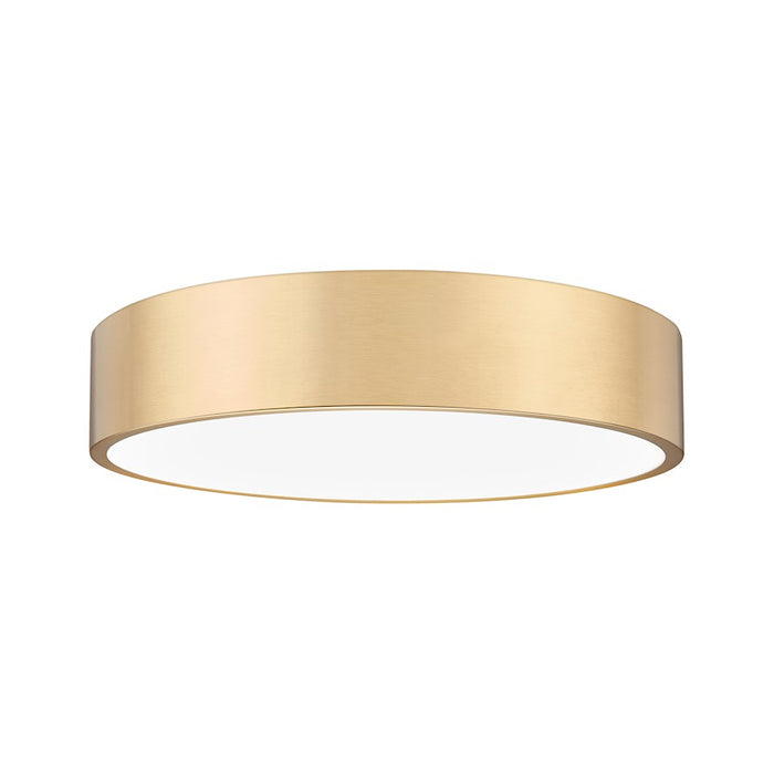 Z-Lite Coronado 1 Light 20" Flush Mount, Modern Gold/Frosted - 1017F20-MGLD-LED