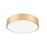 Z-Lite Coronado 1 Light 20" Flush Mount, Modern Gold/Frosted