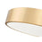 Z-Lite Coronado 1 Light 20" Flush Mount, Modern Gold/Frosted