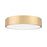 Z-Lite Coronado 1 Light 20" Flush Mount, Modern Gold/Frosted