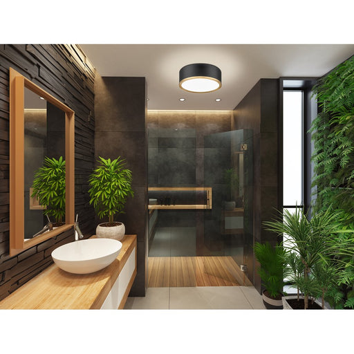 Z-Lite Bradley 1Lt 12.25" Flush Mount, Black/Gold/Frosted