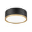 Z-Lite Bradley 1Lt 12.25" Flush Mount, Black/Gold/Frosted