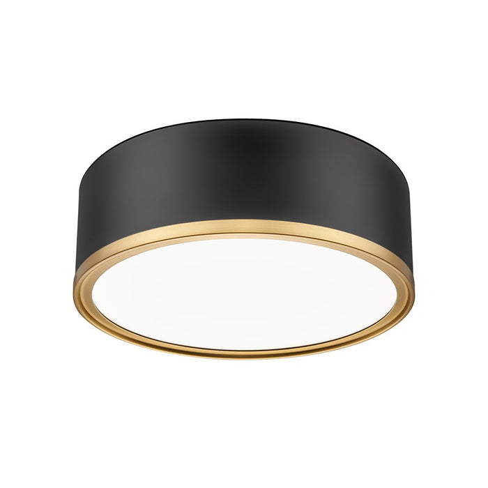 Z-Lite Bradley 1Lt 12.25" Flush Mount, Black/Gold/Frosted