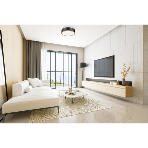 Z-Lite Bradley 1Lt 16" Flush Mount, Black/Gold/Frosted