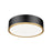 Z-Lite Bradley 1Lt 16" Flush Mount, Black/Gold/Frosted