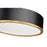 Z-Lite Bradley 1Lt 16" Flush Mount, Black/Gold/Frosted