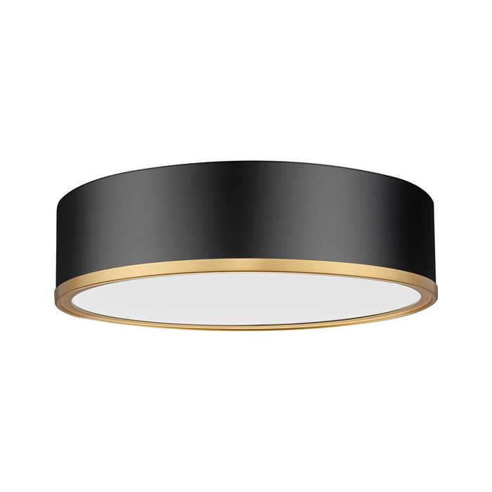 Z-Lite Bradley 1Lt 16" Flush Mount, Black/Gold/Frosted