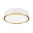 Z-Lite Bradley 1Lt 16" Flush Mount, White/Gold/Frosted