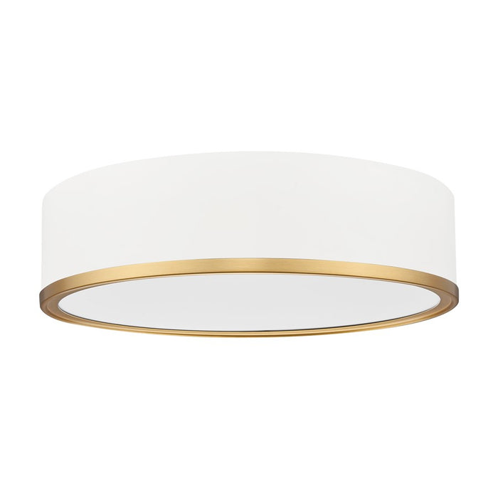 Z-Lite Bradley 1Lt 16" Flush Mount, White/Gold/Frosted