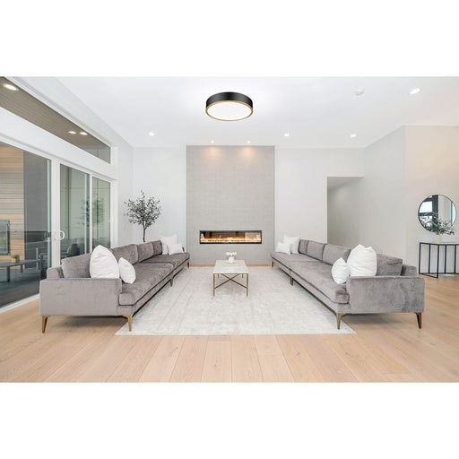 Z-Lite Bradley 1Lt 20.25" Flush Mount, Black/Gold/Frosted