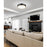 Z-Lite Bradley 1 Light 20.25" Flush Mount, Black/Gold/Frosted