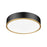 Z-Lite Bradley 1 Light 20.25" Flush Mount, Black/Gold/Frosted