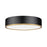 Z-Lite Bradley 1 Light 20.25" Flush Mount, Black/Gold/Frosted