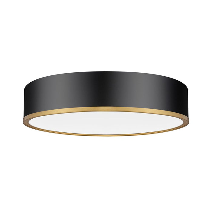 Z-Lite Bradley 1 Light 20.25" Flush Mount, Black/Gold/Frosted