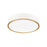 Z-Lite Bradley 1 Light 20.25" Flush Mount, White/Gold/Frosted