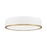 Z-Lite Bradley 1 Light 20.25" Flush Mount, White/Gold/Frosted