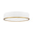 Z-Lite Bradley 1Lt 20.25" Flush Mount, White/Gold/Frosted