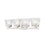 Z-Lite Astor 4 Light Vanity, Brushed Nickel/Clear