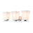 Z-Lite Darcy 3 Light Vanity, Etched Opal