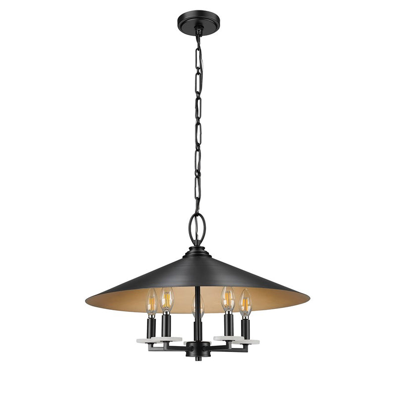 Z-Lite Rialto 5 Light 22" Pendant, Black Outer/Signature Brass Inner