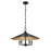 Z-Lite Rialto 5 Light 22" Pendant, Black Outer/Signature Brass Inner