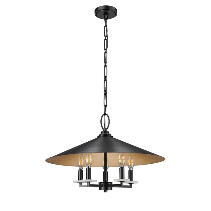 Z-Lite Rialto 5 Light 22" Pendant, Black Outer/Signature Brass Inner