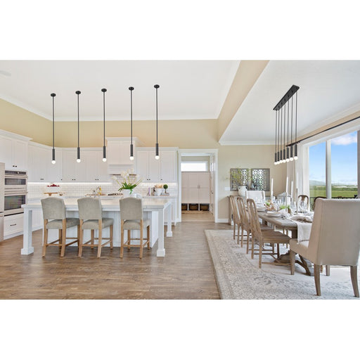 Z-Lite Stari 1 Light Pendant/Rod, Matte Black