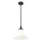 Z-Lite Fleur 1 Light 12" Pendant, Matte Black/Opal Etched