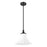 Z-Lite Fleur 1 Light 12" Pendant, Matte Black/Opal Etched