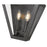 Z-Lite Montalcino 2 Light Wall Sconce, Iron Ore/Clear Seedy