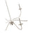 Z-Lite Arrington 6 Light 42" Chandelier, Polished Nickel