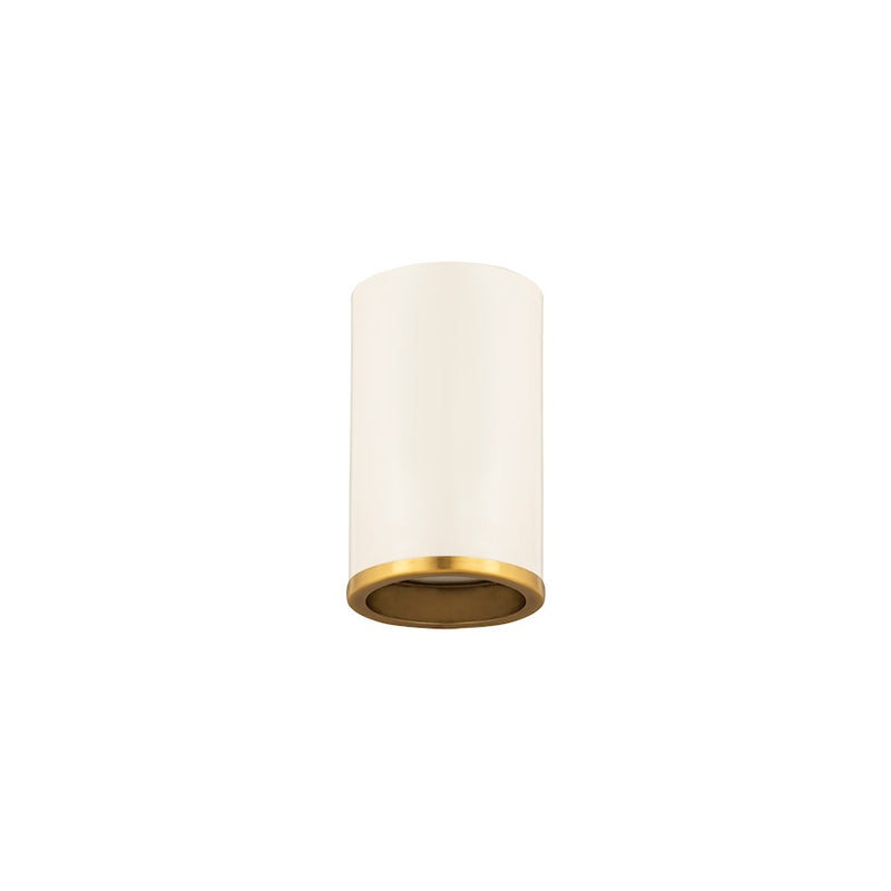Z-Lite Arlo 1 Light Flush Mount