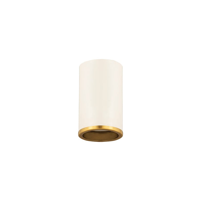 Z-Lite Arlo 1 Light Flush Mount