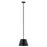 Z-Lite Lilly 1 Light 12" Pendant, Matte Black - 2307-12MB