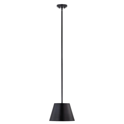 Z-Lite Lilly 1 Light 12" Pendant, Matte Black - 2307-12MB