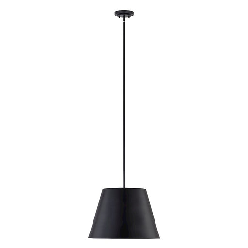 Z-Lite Lilly 1 Light 18" Pendant, Matte Black - 2307-18MB