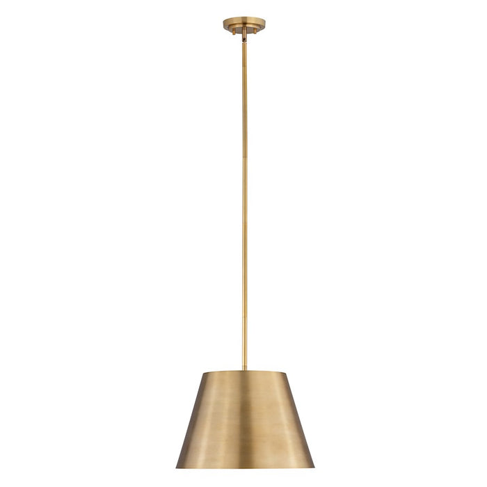 Z-Lite Lilly 1 Light 18" Pendant, Rubbed Brass - 2307-18RB