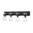 Z-Lite Fontaine 4 Light Vanity, Clear
