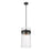 Z-Lite Fontaine  Pendant, Clear