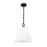 Z-Lite Alaric 1 Light 14" Pendant, Matte Black/White