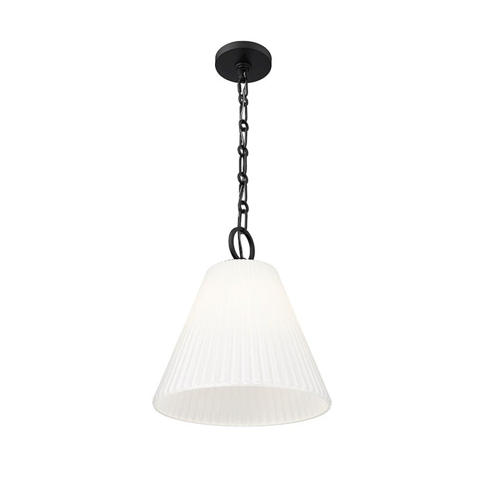 Z-Lite Alaric 1 Light 14" Pendant, Matte Black/White