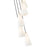 Z-Lite Farrell 5 Light 14" Chandelier, Modern Gold/White